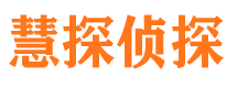 武隆市调查公司